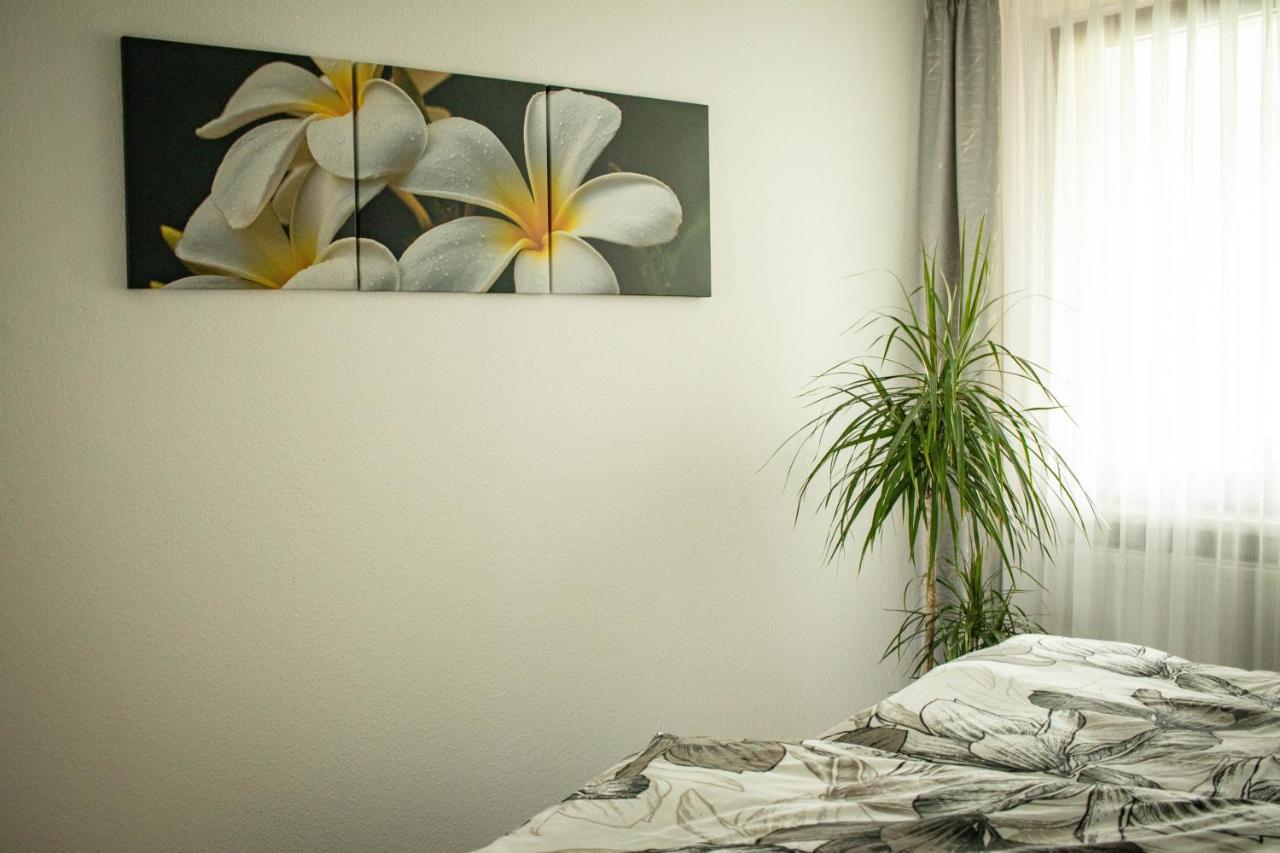 Ferienwohnung Am Schlosspark Ebersdorf  ภายนอก รูปภาพ